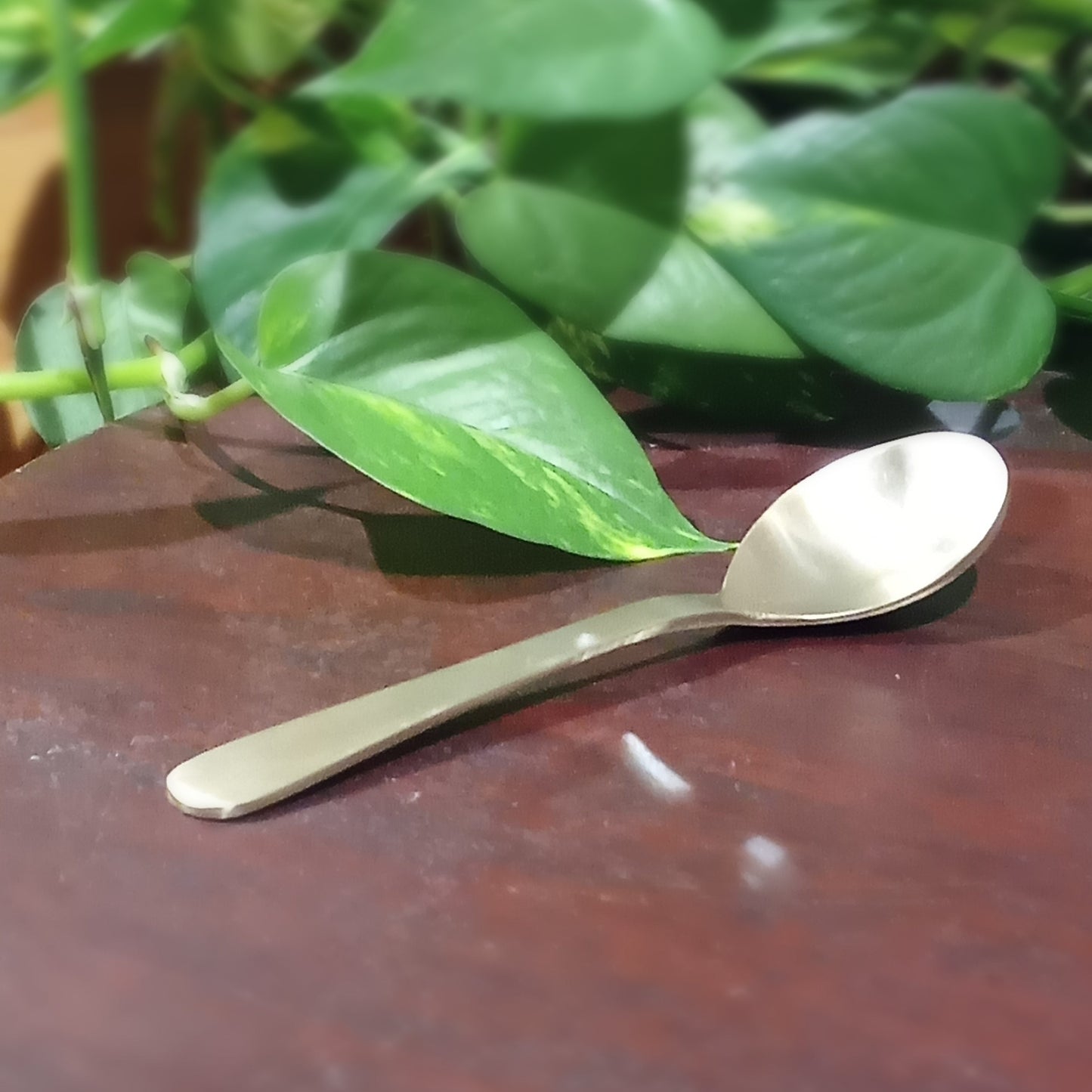 Kansa Spoon