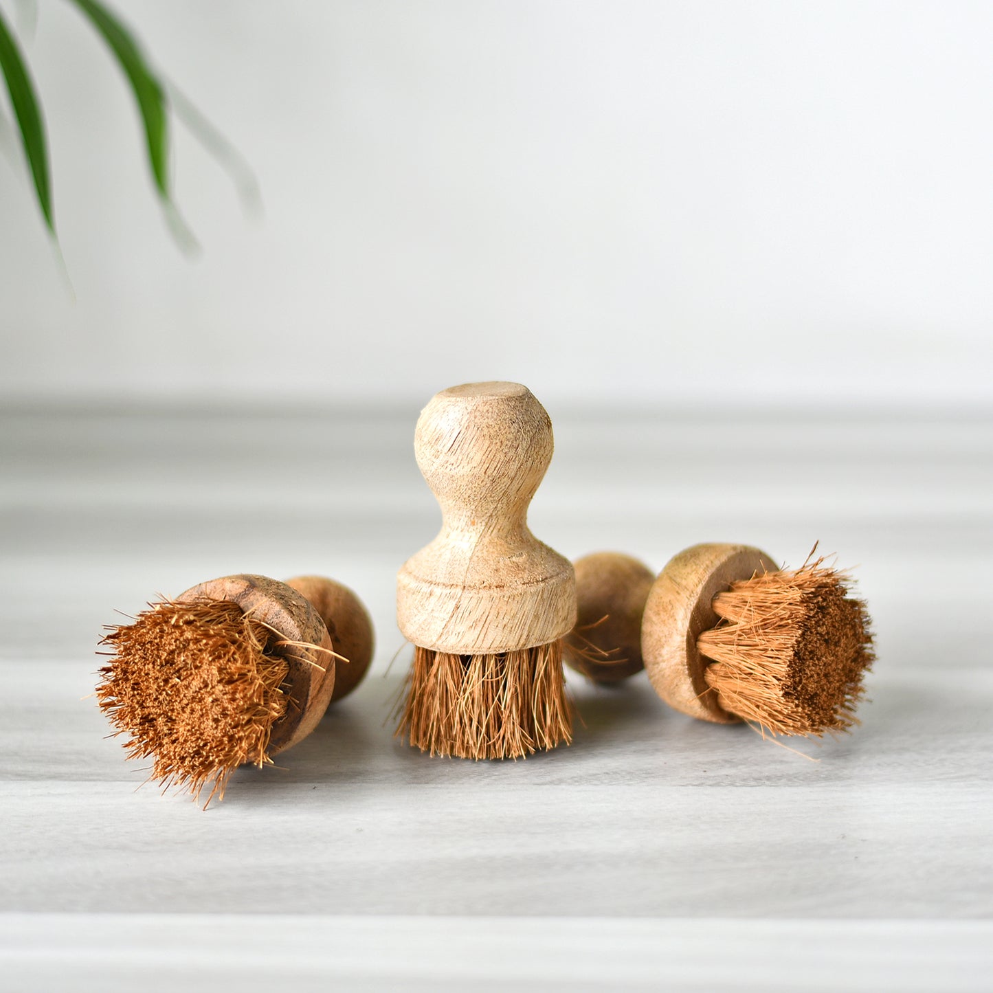 Eco-friendly Cooking Oil Brush for Tawas - Essential Traditions by Kayal - - International Shipping
