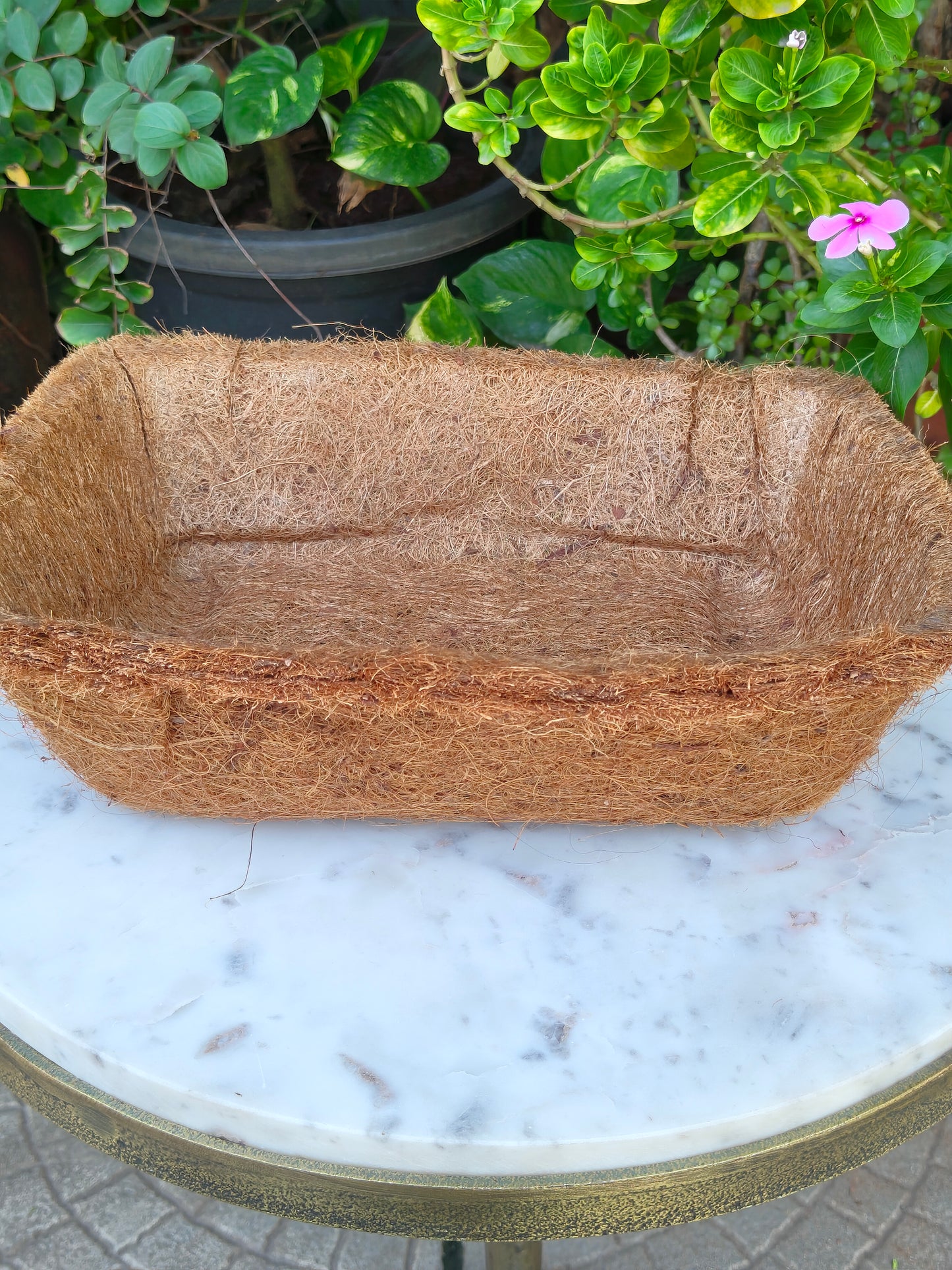 Coconut Mint Tray