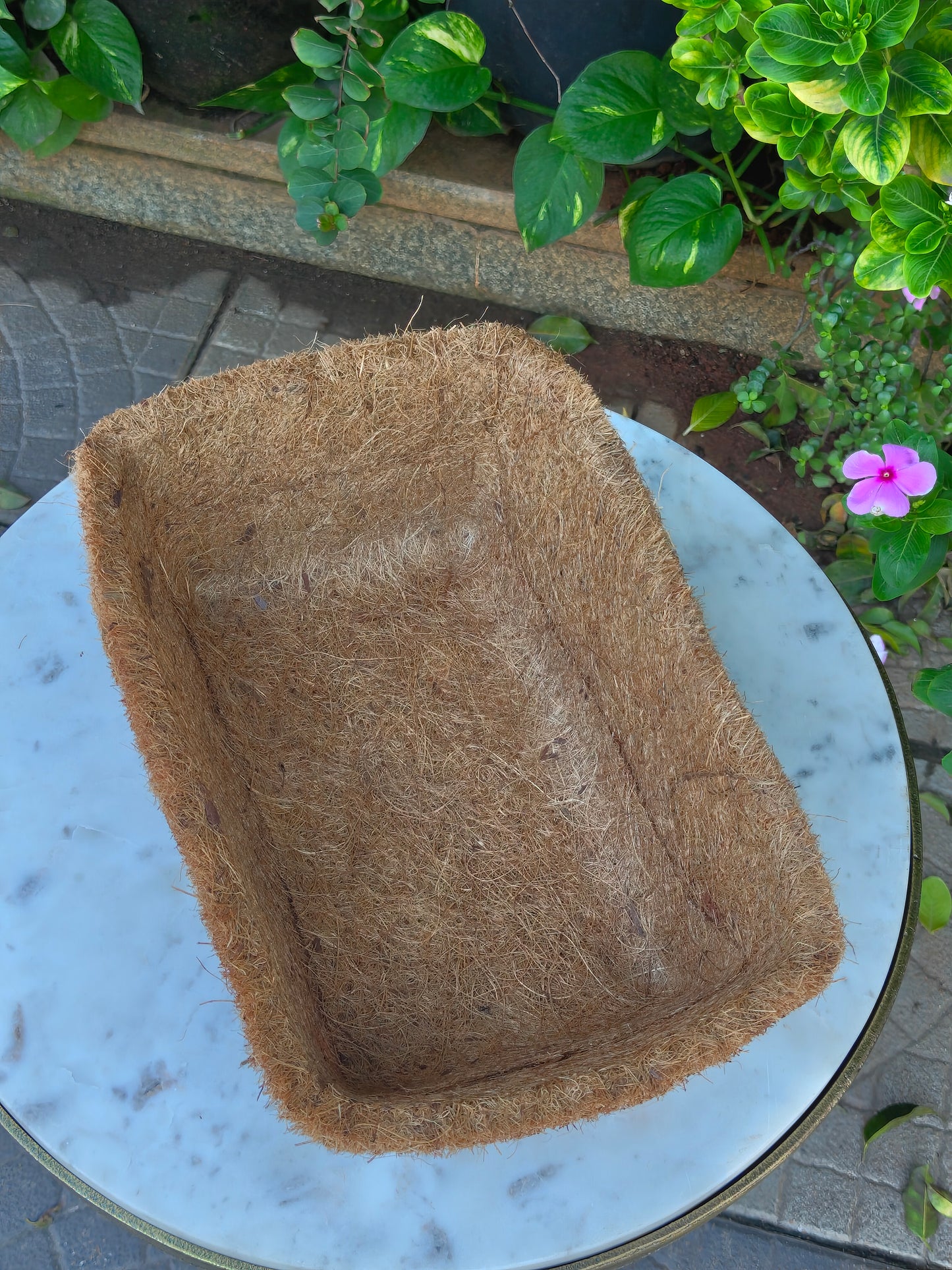 Coconut Mint Tray