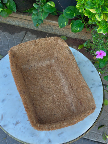 Coconut Mint Tray