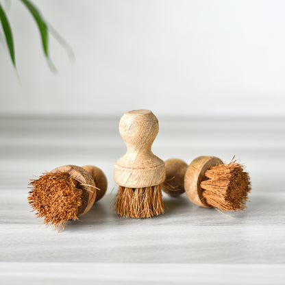 Eco-friendly Cooking Oil Brush for Tawas - Essential Traditions by Kayal -   - International Shipping